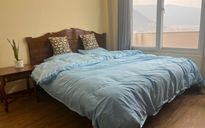 The Sparkling Turtle Backpackers Hostel
