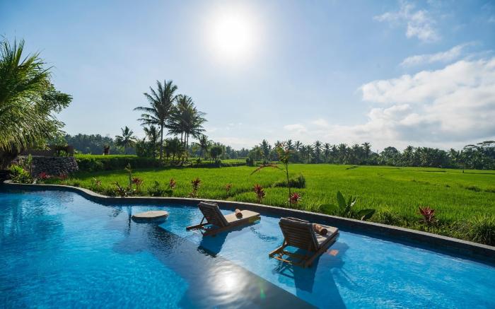Beehouse Dijiwa Ubud