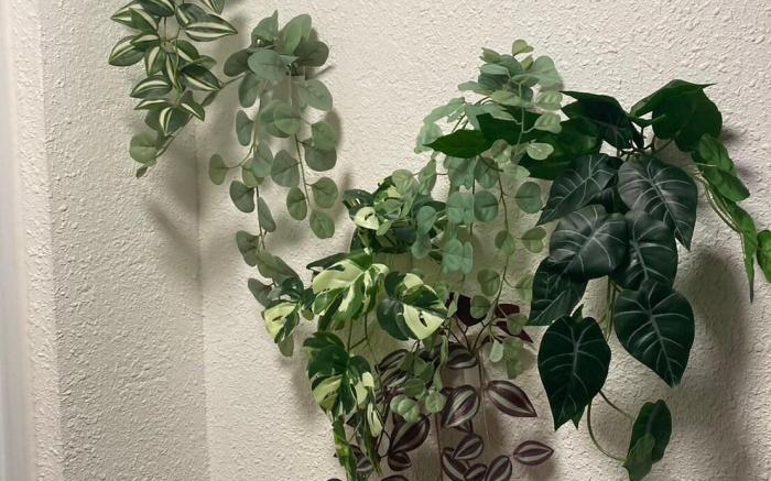 150平方米1臥室獨立屋 (屏東市) - 有1間私人浴室