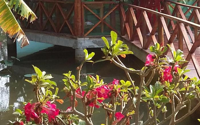 Kiki Coconut Beach Resort