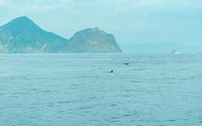 嶼光嵐山-無邊際泳池海景溫泉民宿