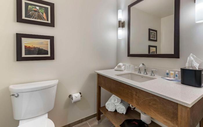 Comfort Inn & Suites Pittsburgh-Northshore