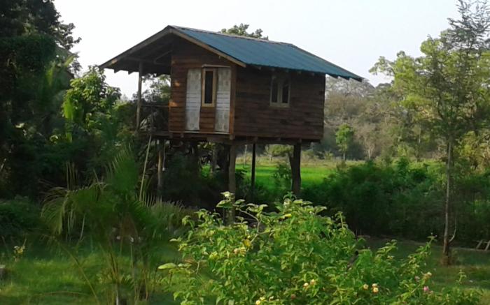 Sigiriya Forest View