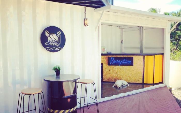 PIG DIVE HOSTEL MOALBOAL