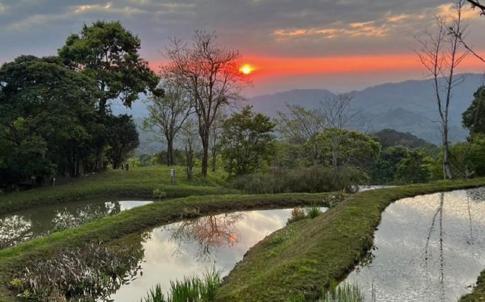 平方米6臥室 (大溪區) - 有6間私人浴室