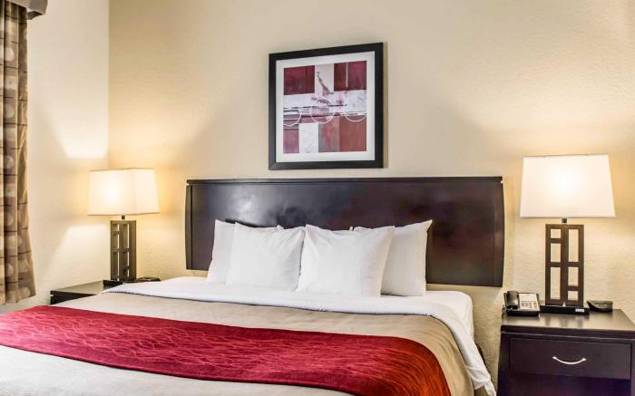 Comfort Inn & Suites Northeast - Gateway