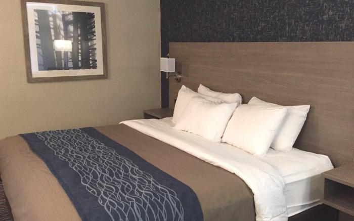 Comfort Inn Aeroport