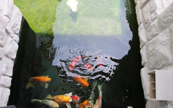 Africa Paradise Airport Leisure Hotel