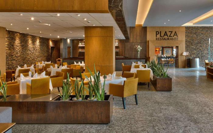 Galeria Plaza Reforma