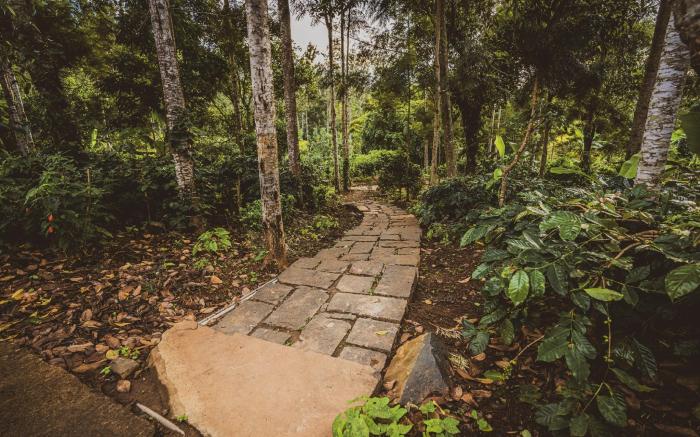 Shambala Yercaud