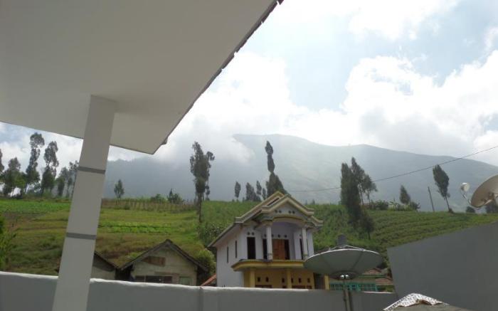 Savana Guesthouse