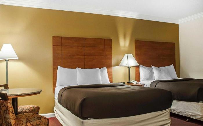 Econo Lodge at the Falls North