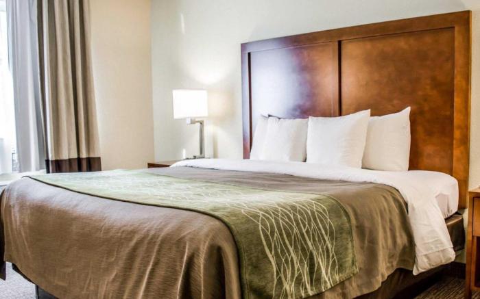 Comfort Inn Fort Myers Northeast