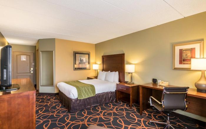 Comfort Inn Plymouth-Minneapolis