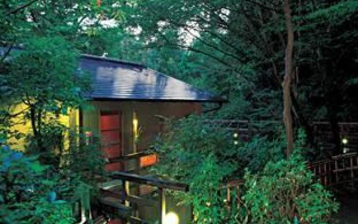 Izukogen Shirogasaki Onsen Hanafubuki