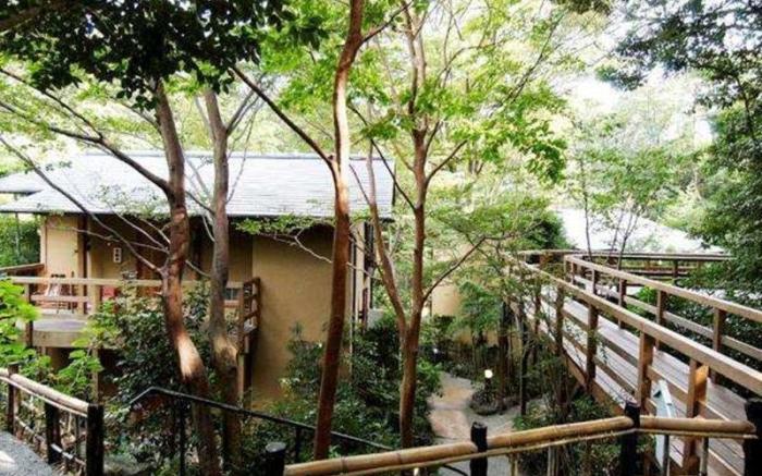 Izukogen Shirogasaki Onsen Hanafubuki