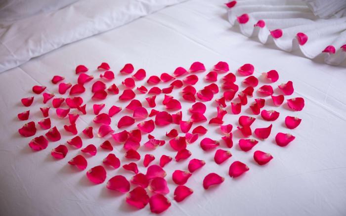 Hanoi Lullaby Hotel & Travel