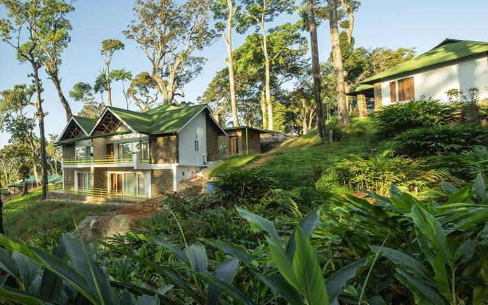 Neelakurunji Plantation Munnar