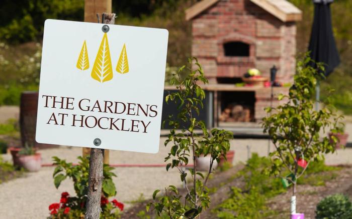 Hockley Valley Resort 