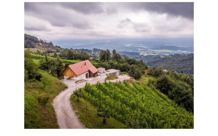 Vineyard cottage Skatlar 3