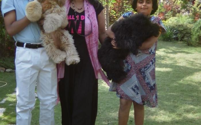 Snow View Designer Hut Garden Living