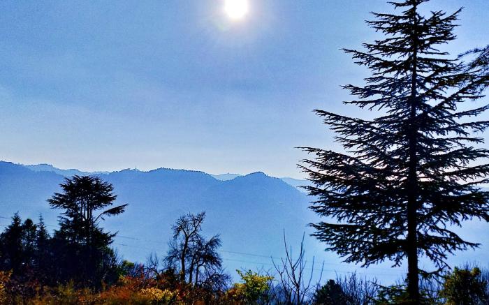 Merlin Grove Suites Shimla