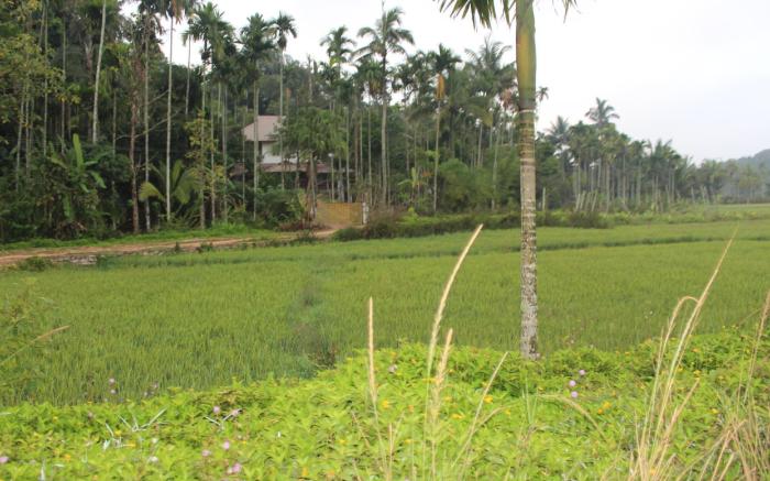 Wayal Wayanad heritage villa