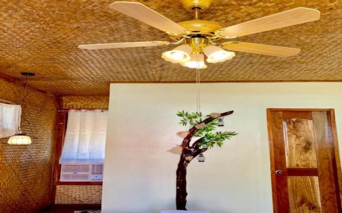 Budget Triple Room (beach front area)