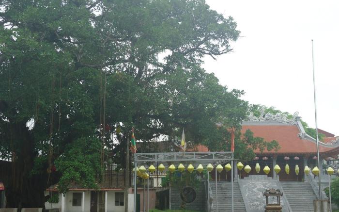 GREEN SPACE HOMESTAY - 103