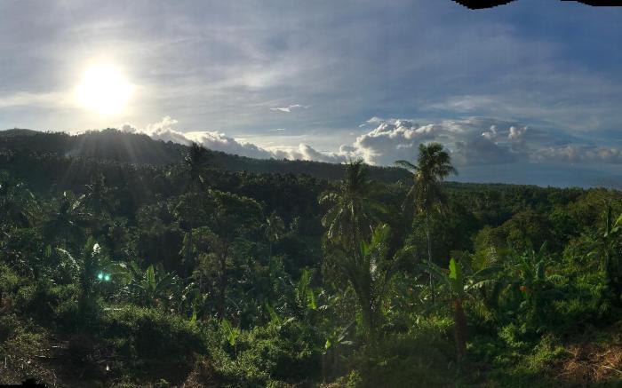 Taylors Plantacion Resort- Bamboo Villa