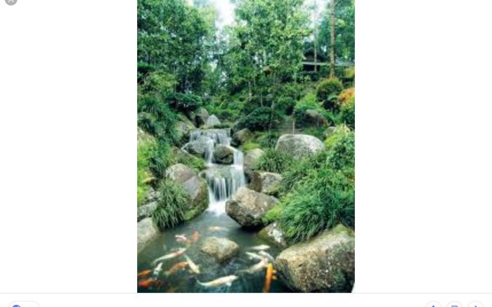 BUKIT TINGGI BERJAYA HILLS HOMESTAY B2-18