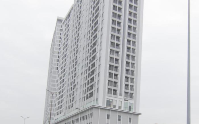HANAN 1-BR apartment at Saigon downtown