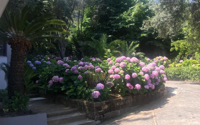 Poggio Miramare Luxury Home