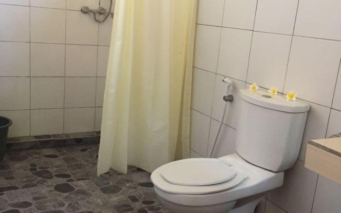 Barclona guesthouses lovina