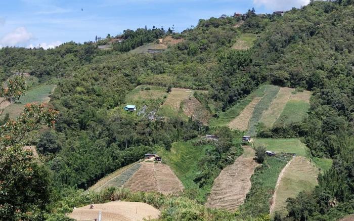 Ziemal homestay