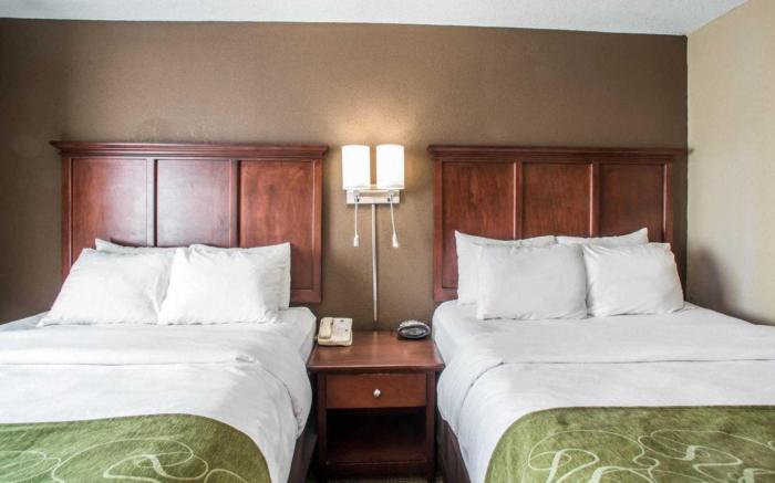 Comfort Suites Columbia - University Area