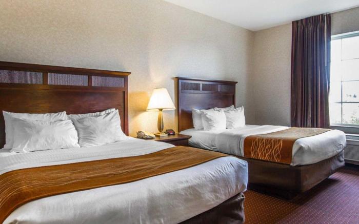 Comfort Inn & Suites Madison North