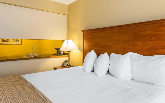 Quality Inn & Suites On The River