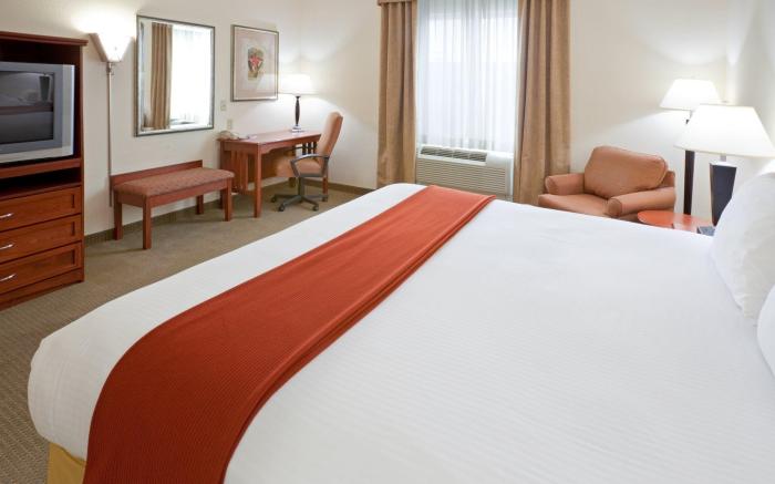 Holiday Inn Express Hotel & Suites Decatur, TX By IHG