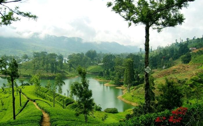 Redwood Inn Nuwara Eliya