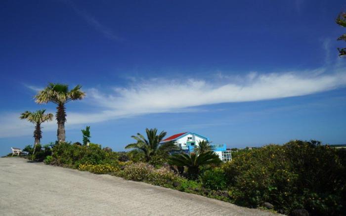 Jeju Amor House