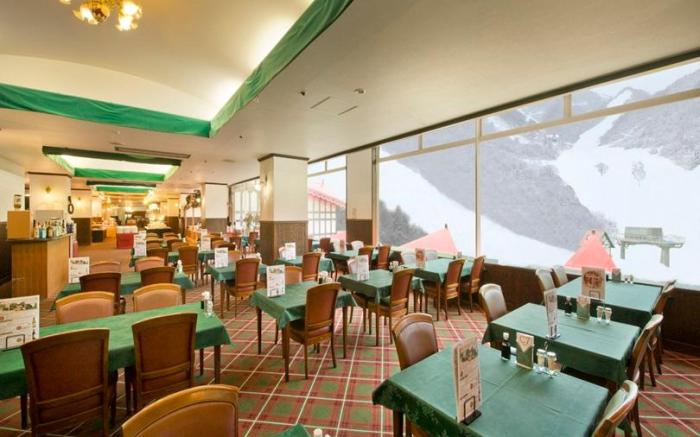 Hotel Green Plaza Hakuba