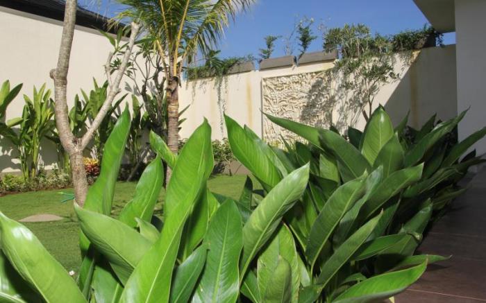 The Muaya Villa