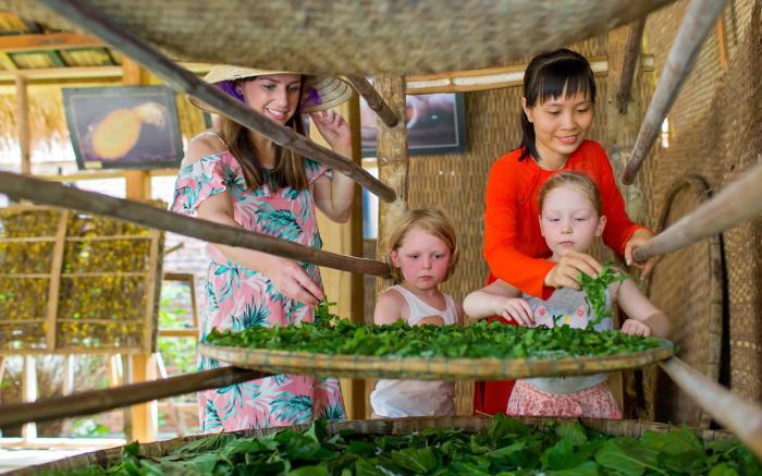 Mulberry Collection Silk Village