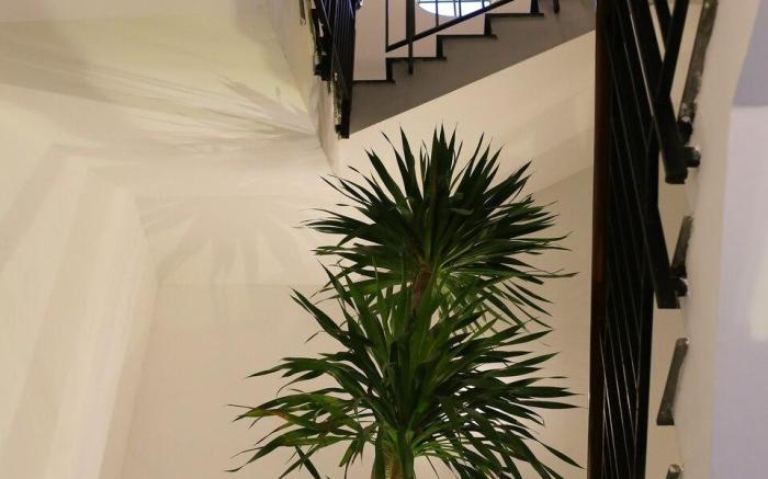 ChacaHouse ★  Cozy room ★ 300m to the BEACH - B3