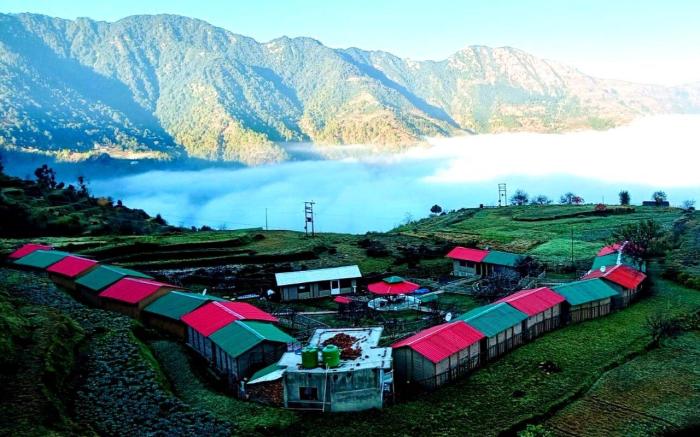 Bamboo Junction Resort