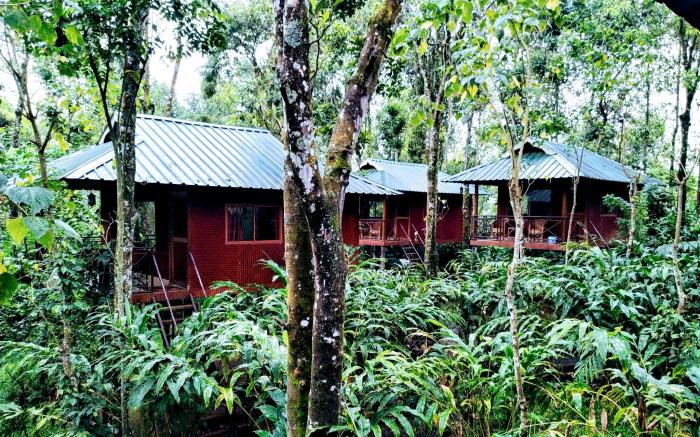 Monsoon Retreats