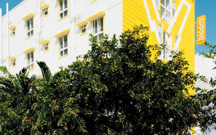 X by bloom I Hebbal