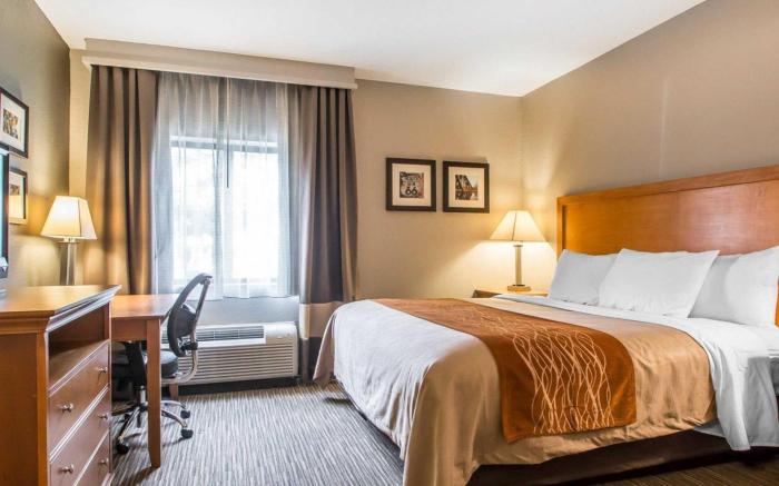 Comfort Inn South - Springfield