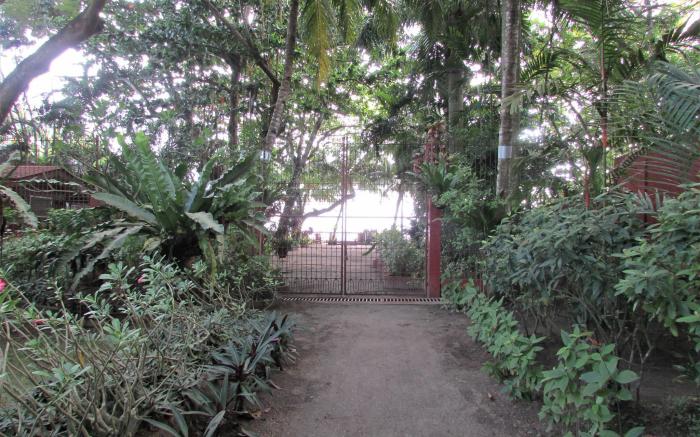 Felipa Beach Residence - Gumamela